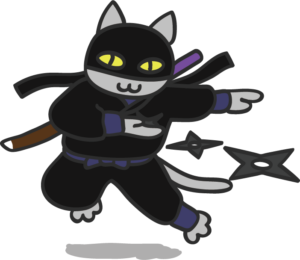 ninja cat shuriken experience